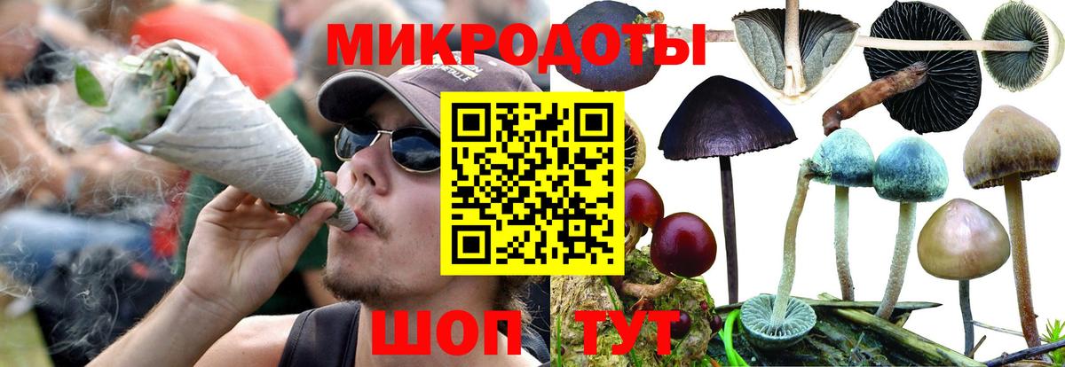 Галлюциногенные грибы Psilocybine cubensis Всеволожск