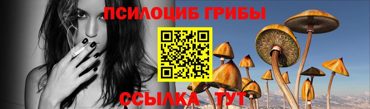 Всеволожск  Псилоцибиновые грибы прущие грибы  Вход с VPN 